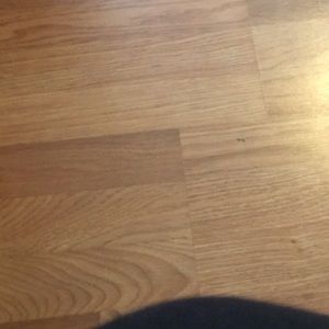 Meet your Posher, Alany